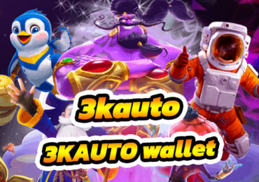 3KAUTO wallet