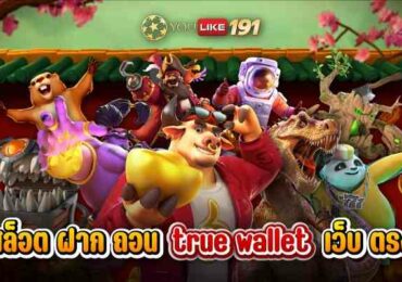 สล็อต ฝาก ถอน true walletเว็บตรงมีกี่ชนิด มาดูคำตอบกัน