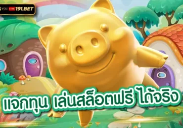 เว็บใหม่ แจกทุนฟรี