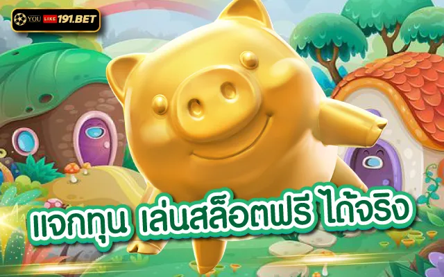 เว็บใหม่ แจกทุนฟรี